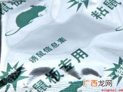 家里的老鼠怎么灭绝的具体操作步骤 家里的老鼠怎么灭绝