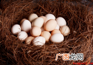 孩子吃土鸡蛋比吃普通鸡蛋营养更好吗