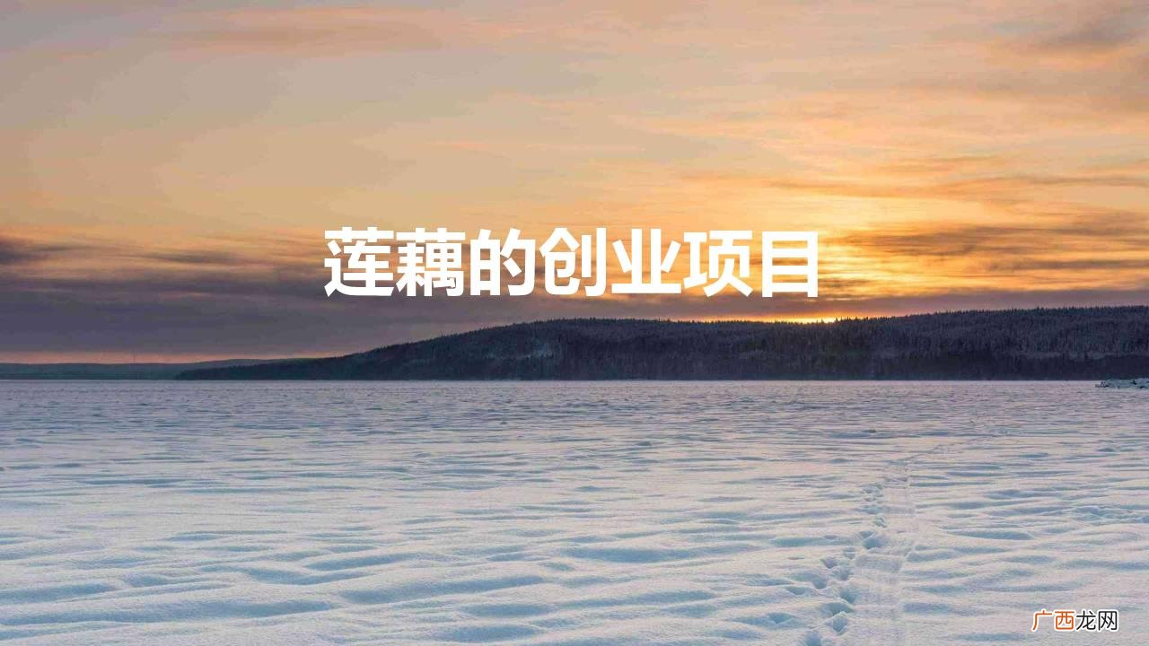莲藕公司简介 莲藕的创业项目