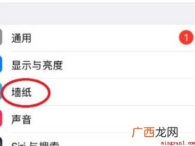 苹果手机设置壁纸的具体操作步骤 苹果手机设置壁纸