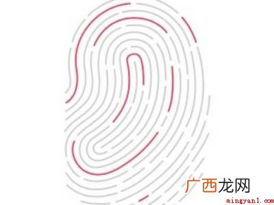 苹果12指纹在哪里设置的具体操作步骤 苹果12指纹在哪里设置的