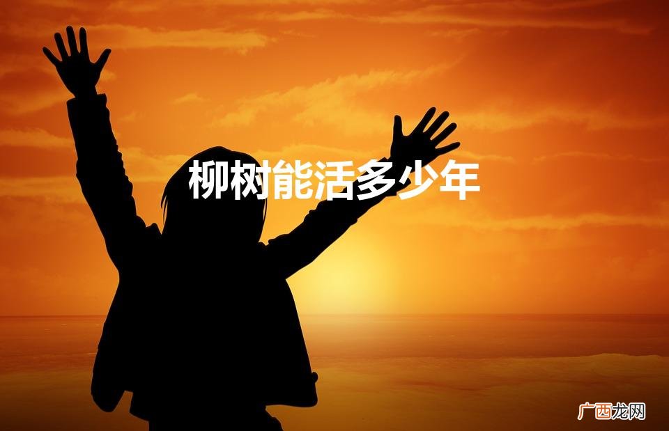 柳树能活多少年（柳树的寿命最长是多少最短是多少)