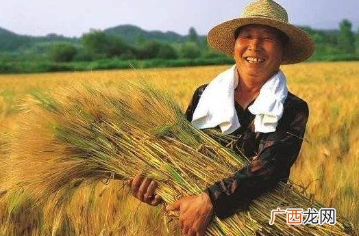 三农指的是哪三农政策 三农指的是哪三农