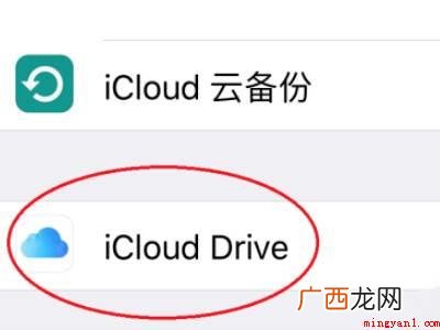 苹果手机文件怎么打开的具体操作步骤 苹果手机文件怎么打开
