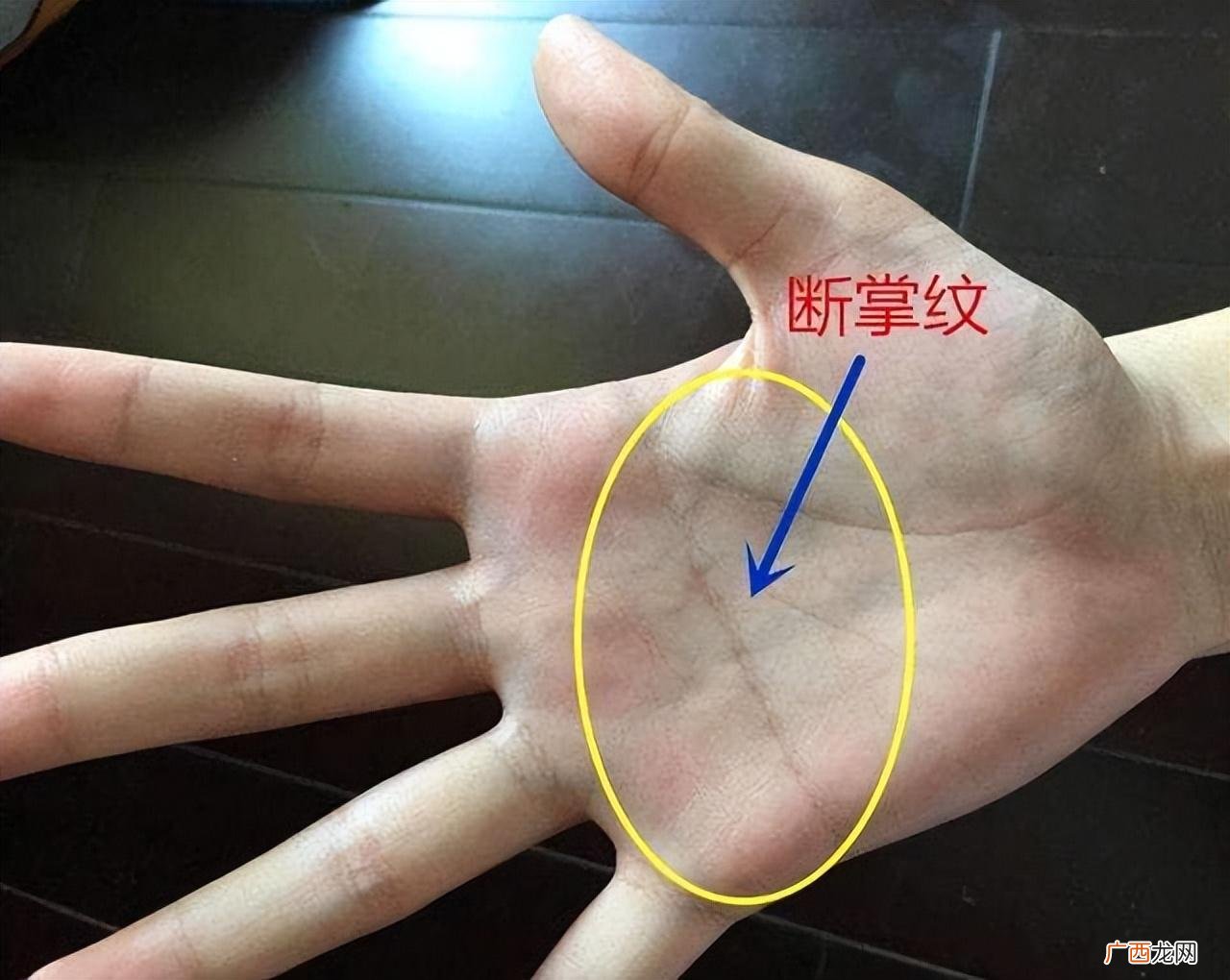 断掌真来富，假来福的含义 为什么假断掌要比真断掌要好