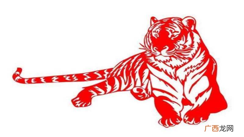 虎与猪相冲吗