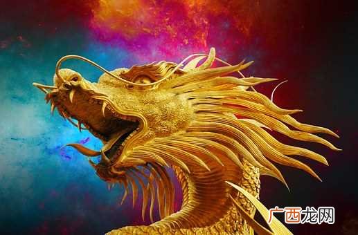 属龙和属蛇的合不合