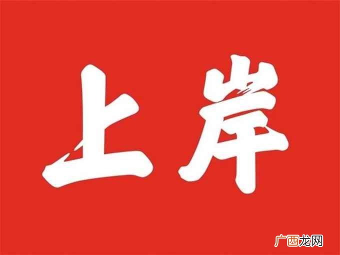 上岸是什么意思