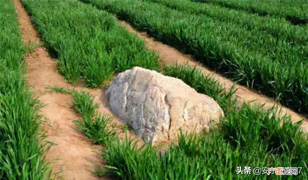 世界上最小的山叫什么名字视频 世界上最小的山叫什么名字