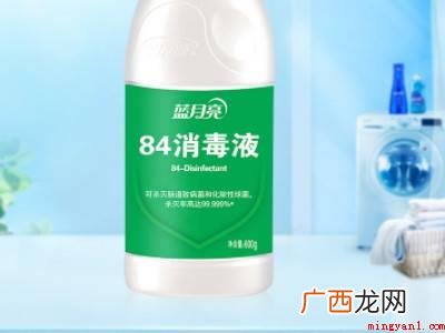 沙发上有跳蚤怎么处理的具体操作步骤 沙发上有跳蚤怎么处理