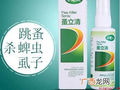 沙发上有跳蚤怎么处理的具体操作步骤 沙发上有跳蚤怎么处理
