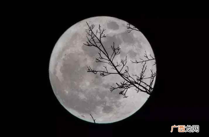 明月几时有是什么节日