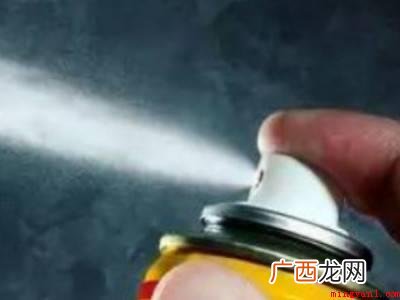 像灰尘的小白虫怎么灭的具体操作步骤 像灰尘的小白虫怎么灭