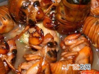 知了猴怎样长期保存的具体操作步骤 知了猴怎样长期保存