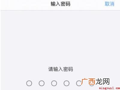 苹果下载东西怎么设置面容的具体操作步骤 苹果下载东西怎么设置面容