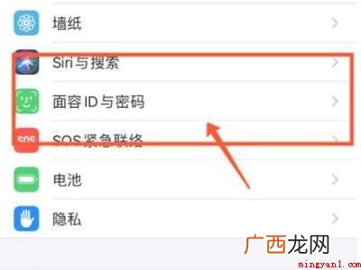苹果下载东西怎么设置面容的具体操作步骤 苹果下载东西怎么设置面容