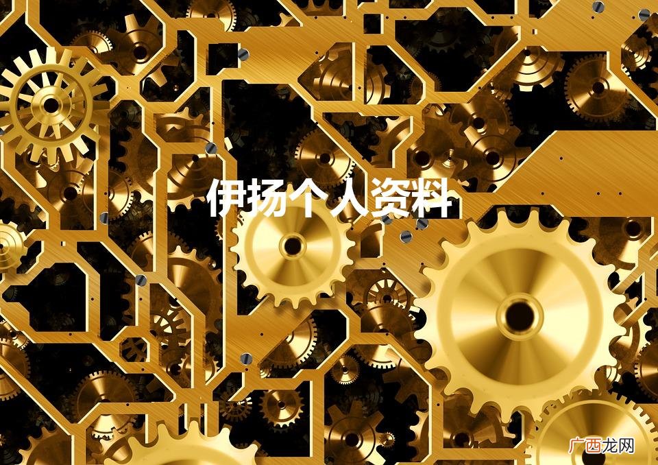 伊扬个人资料简介 伊扬个人资料