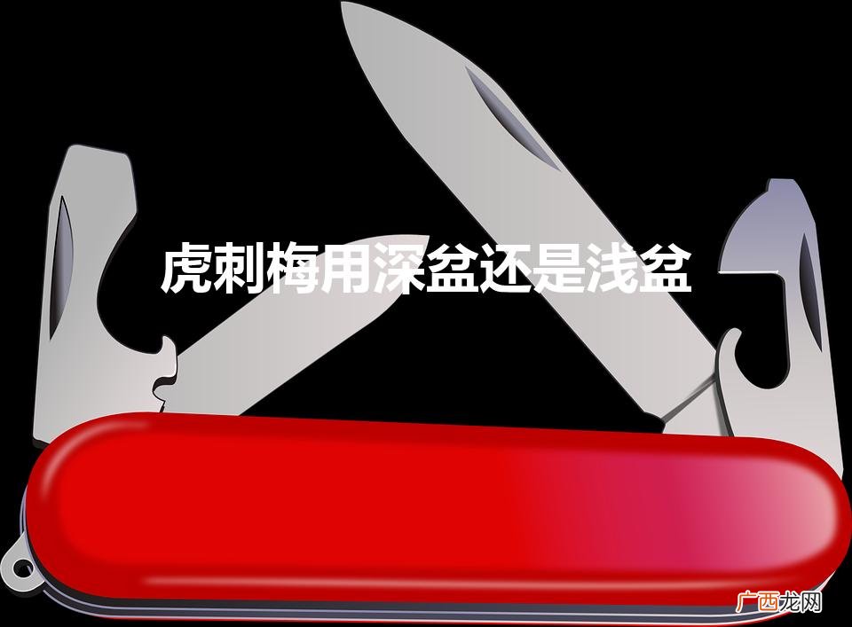 虎刺梅用深盆还是浅盆（虎刺梅适合大盆还是小盆)