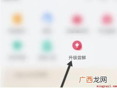 华为nova7系统版本:EMUI11 华为nova7如何开启鸿蒙系统