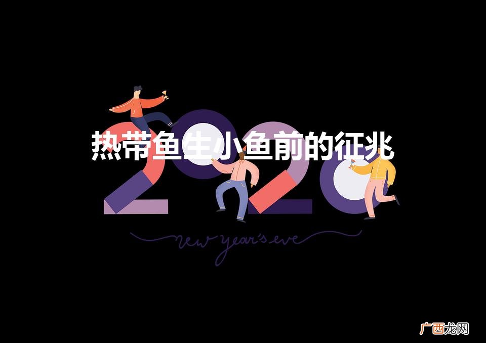热带鱼下崽有什么反应 热带鱼生小鱼前的征兆