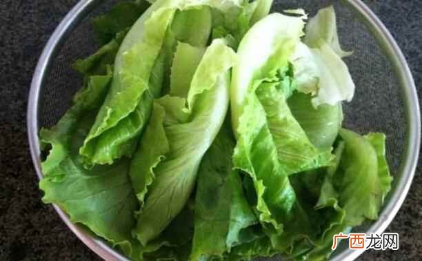 生菜可以食用生菜吗 痛风能吃生菜吗