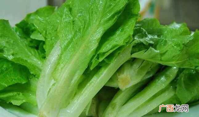 生菜吃多了有什么危害