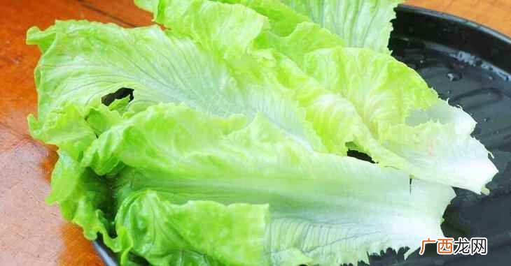 生菜是什么季节的