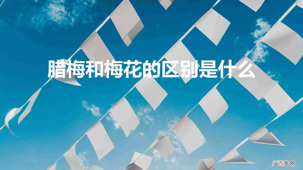 梅花和腊梅是一种花吗 腊梅和梅花的区别是什么图片
