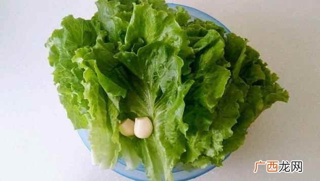 吃生菜可以减肥吗 生菜的热量