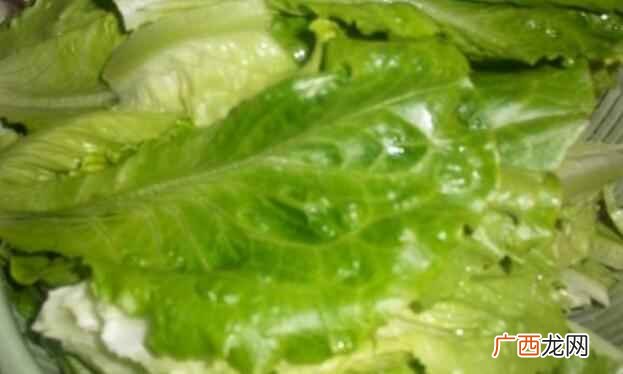食用蔬菜可以补充我们身体中的营养 生菜的功效与作用