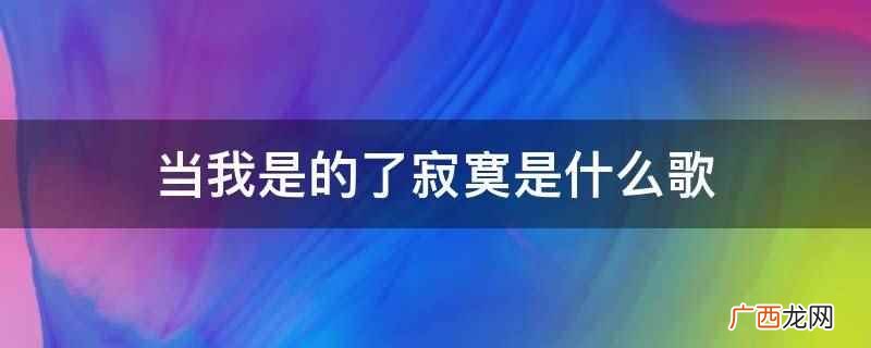 当我是的了寂寞是什么歌