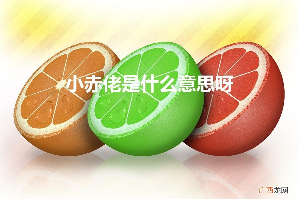 小赤佬是什么意思呀（小赤佬是什么意思呀 新闻)