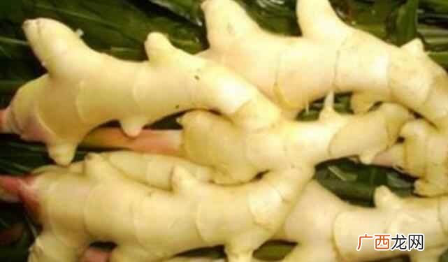食用生拌嫩姜都有哪些注意事项晚上不宜吃生姜 生拌嫩姜的做法