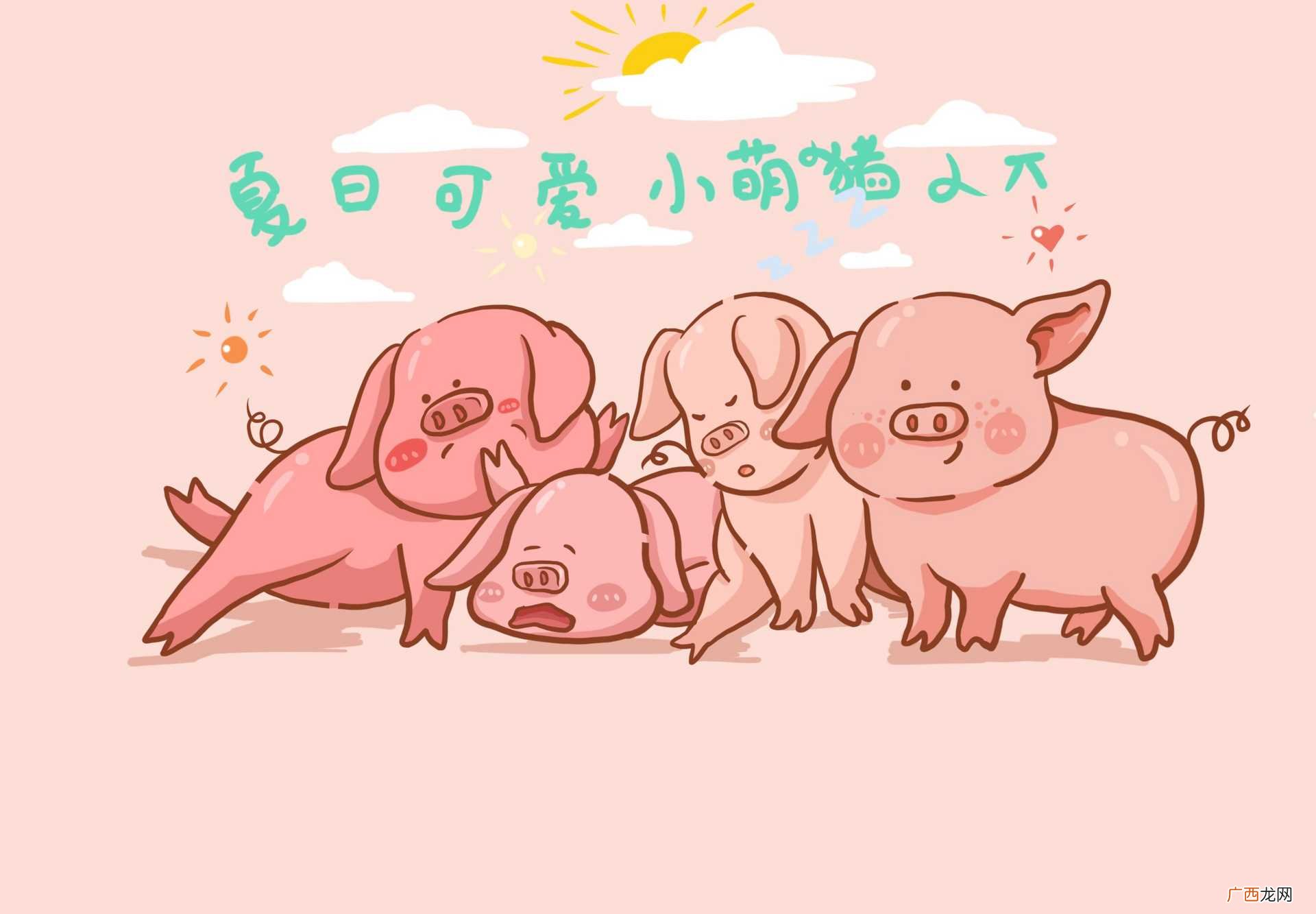 属猪男和属猪女婚姻相配吗