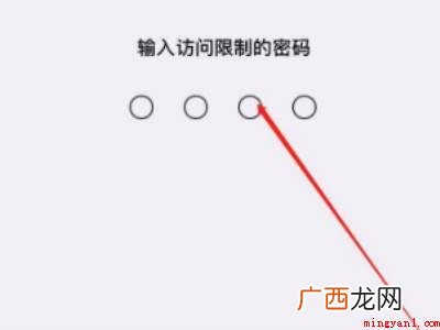苹果X在哪儿设置应用加密的具体操作步骤 苹果X在哪儿设置应用加密