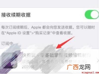 苹果app购买怎么解除的具体操作步骤 苹果app购买怎么解除