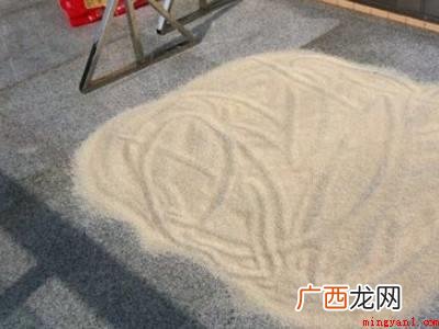 米袋里有小黑虫怎么办