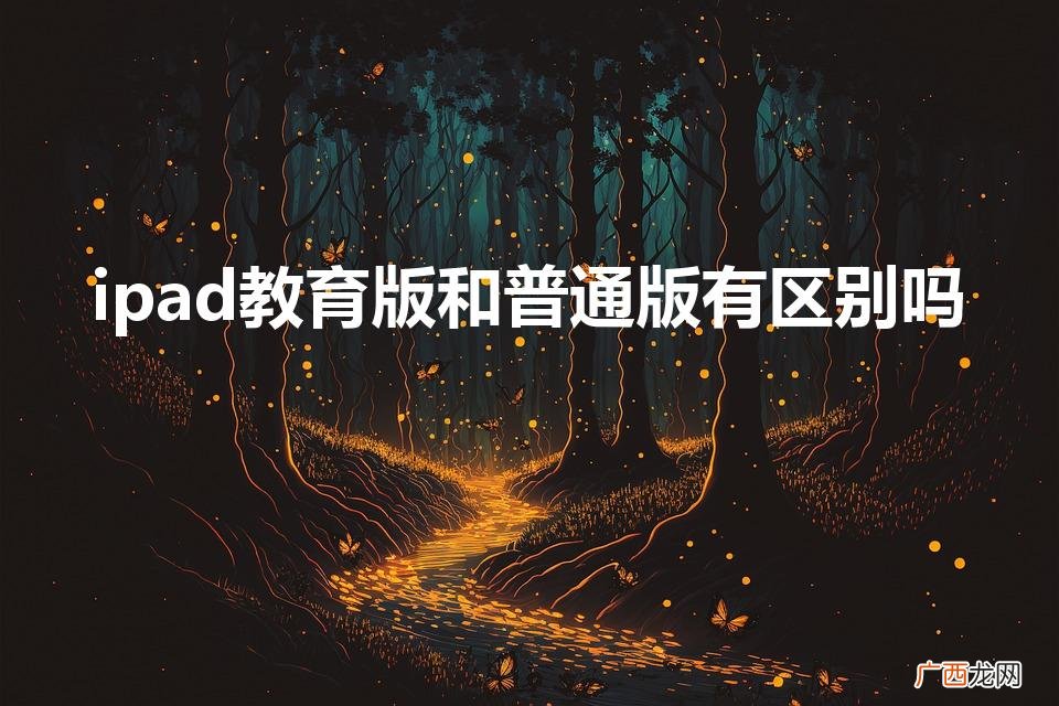 ipad教育版和普通版有区别吗