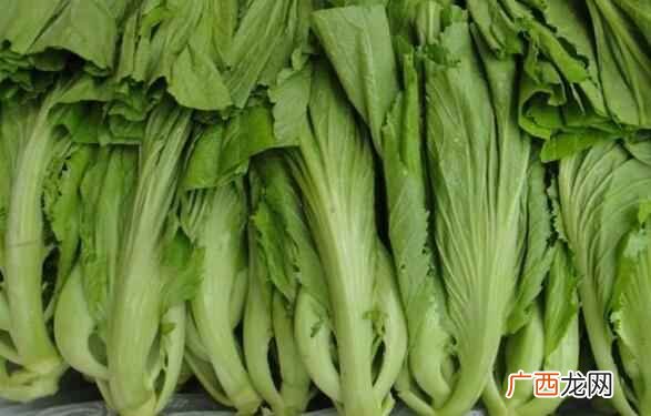 芥菜是良性的还是热性的 芥菜是凉性还是热性的
