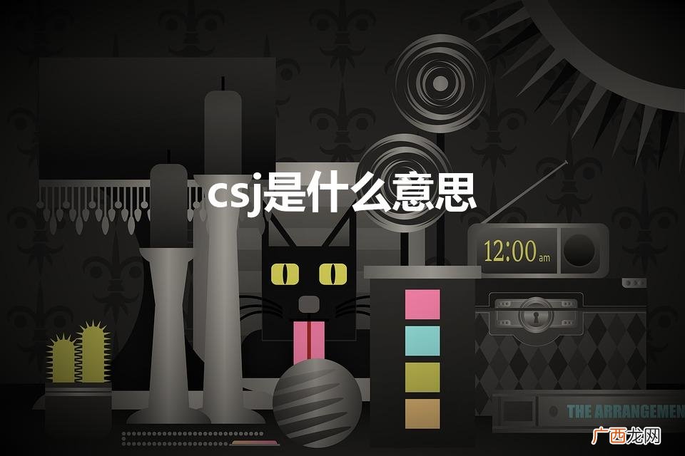 csj是什么意思在字母圈 csj是什么意思