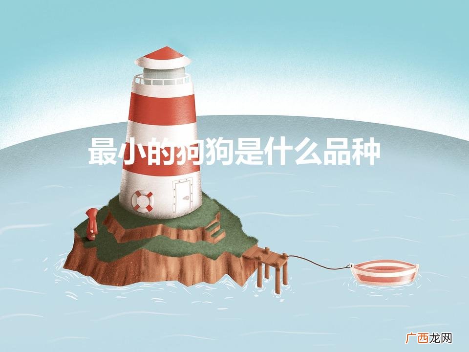 最小的宠物狗是什么品种 最小的狗狗是什么品种