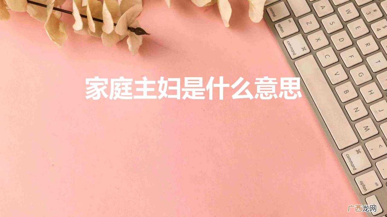 家庭主妇是什么意思