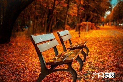 宋词眼儿媚赏析 愁云淡淡雨潇潇暮暮复朝朝是什么意思