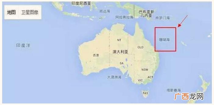 世界上最大的海 世界上最大的海是哪个海