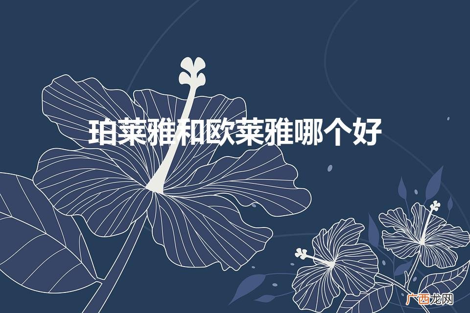 珀莱雅好还是欧莱雅好用 珀莱雅和欧莱雅哪个好