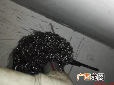 家里有老鼠怎么办快速灭鼠的具体操作步骤 家里有老鼠怎么办快速灭鼠