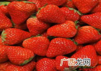蚂蚁庄园3月10日问题答案：平常吃的草莓其实是它的什么部位