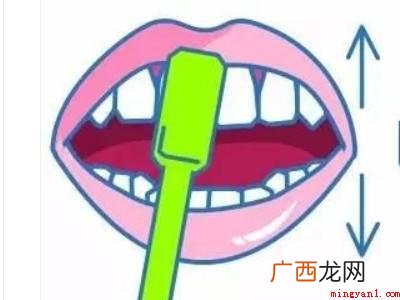 怎幺正确刷牙的具体操作步骤 怎么正确刷牙