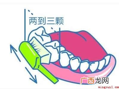 怎幺正确刷牙的具体操作步骤 怎么正确刷牙