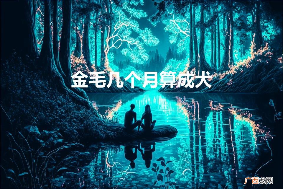 金毛几个月算成犬（金毛几个月算成犬粮)